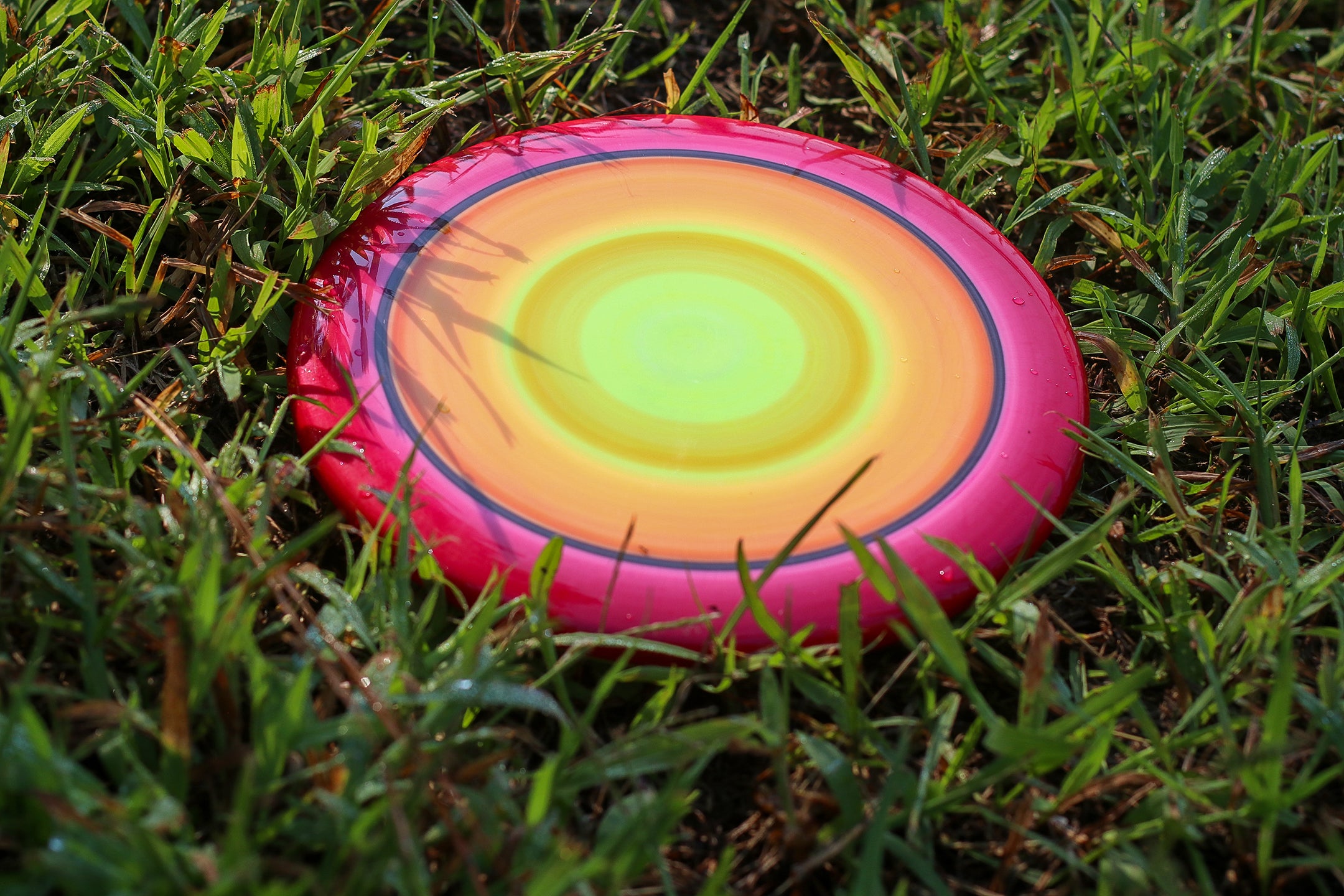 How to Dye Disc Golf Discs Dye Methods & Color Mixing Tips