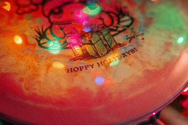 holiday disc golf gift guide