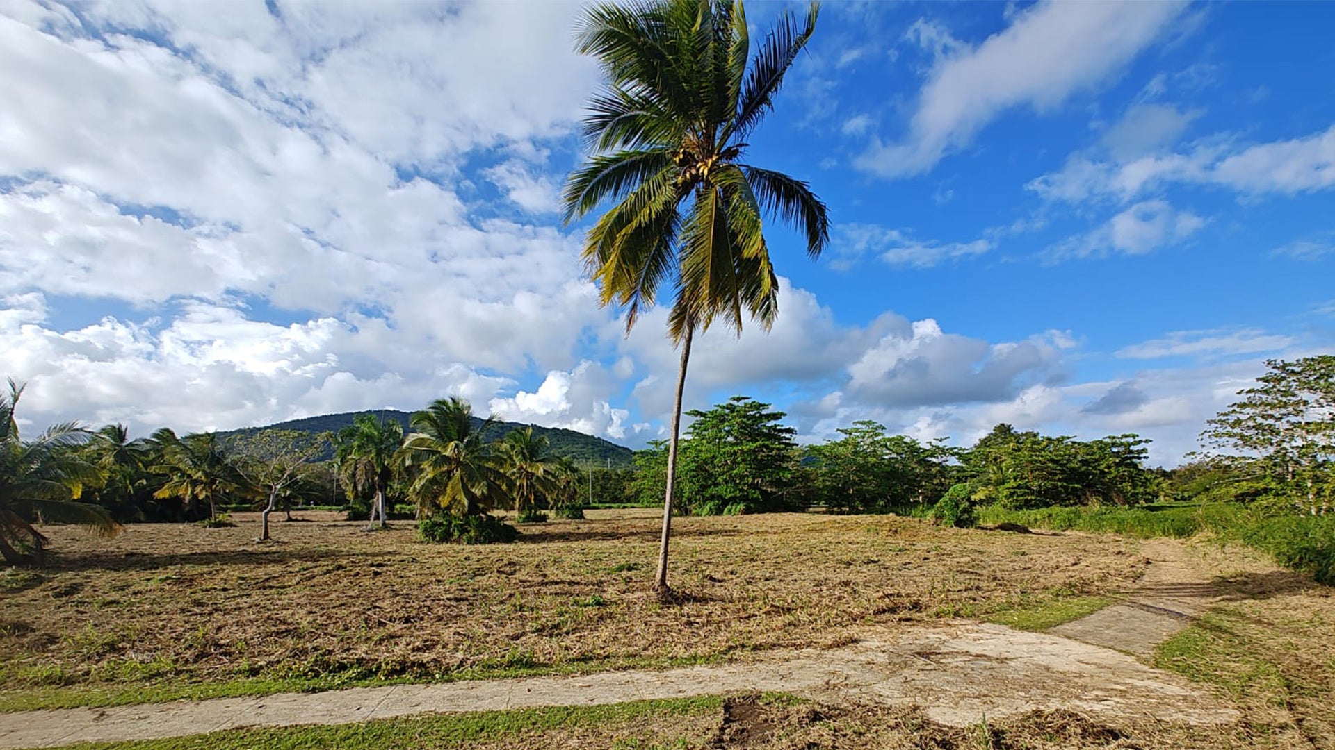 Disc Golf In Puerto Rico Grows With The Coming Of Ceiba Disc Golf Course